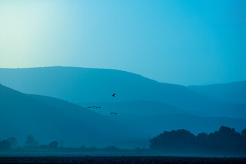 Fototapeta na wymiar Silhouette of mountains against the sunset sky. Birds (Common crane) against the background of the mountains in the evening. The Hula Valley in northern Israel at sunset
