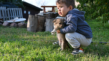 the child carries a small puppy in his arms