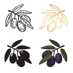 Olive branch with leaves and fruits. Set of vector hand drawn icons in cartoon style. Linear, silhouette, color illustration isolated on white background.