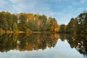 Fototapeta na wymiar Autumn colored trees reflected in lake water. Autumnal landscape