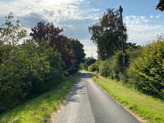 Looking along, Moor Lane, with old trees, wild plants, and traffic cones in, East Keswick, Leeds, UK