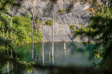 Dried trunks of Picea schrenkiana pointing out of turquoise water in Kaindy lake, Kazakhstan, Central Asia