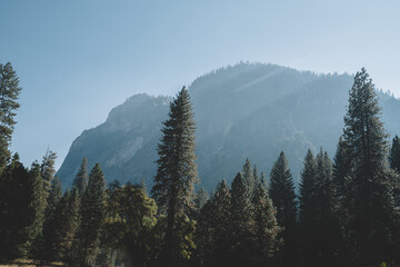 Foggy mountain ridge in Yosemite National Park