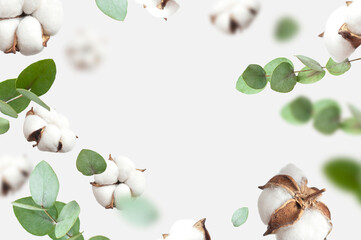 Flying cotton flowers, green twigs of eucalyptus on light gray background. Creative Floral background with cotton, delicate flowers of fluffy cotton. Flat lay flowers composition, greeting card
