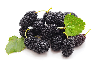 A mulberry with leaves.