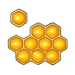 Honeycomb. Vector color illustration. Isolated on white background.