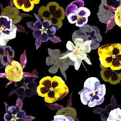 Beautiful floral background of pansies and Aquilegia. Isolated