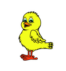 cute yellow chick
