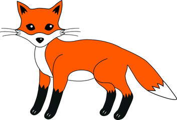Obraz premium Fox drawing vectoral for coloring book.