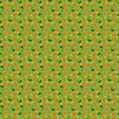 Pattern on a green background and with a flower.Pumpkin slice, slices, flower, branch and seeds.