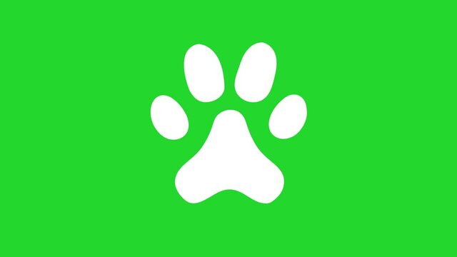 Animated animal paw icon. Chroma key, green screen background