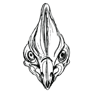 recommend clip art: Head of Cassowary or Casuarius bird. Hand drawn rough sketch. Black silhouette on white background.
