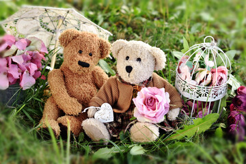 two cute teddy bears sitting on the grass in the garden