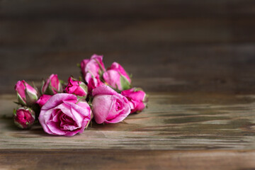 Fototapeta premium Buds and blossoming flowers of a pink teahouse, wooden background, place for text. Bright beautiful flowers for making aromatic tea