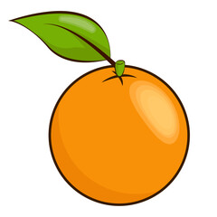 Orange fruit isolated illustration.