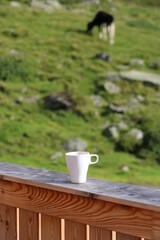 Enjoying a fresh cup of coffee in the morning sun