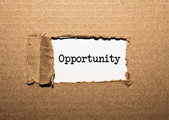 The text OPPORTUNITY behind torn brown paper