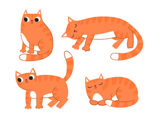 Vector collection of illustration of cute red cat in various poses - 381976124