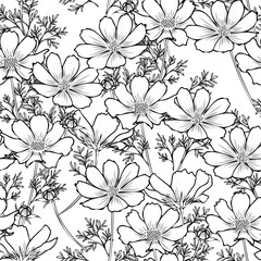Floral seamless pattern with cosmos flower. Black and White design.