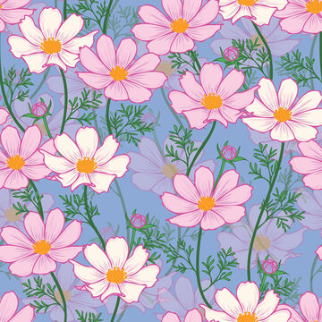 Floral seamless pattern with cosmos flower. Pink flowers on blue background design.