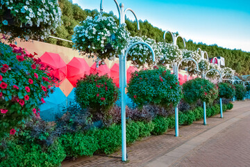 Installation of flowering plants and bright umbrellas