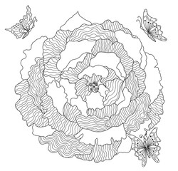 Flower and butterflies. Detailed colored page background. Black + white. Floral illustration