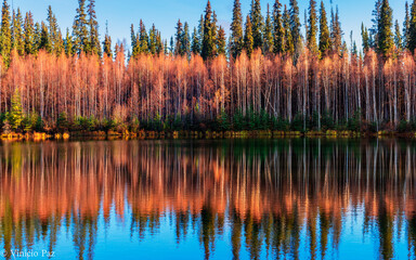 Lake and fall in Alaska