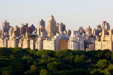 Central Park in New York City