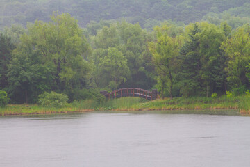 Rainy and foggy lake with a wooden bridge in summer morning