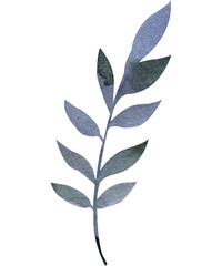 Watercolor twig, stem, leaves, hand painted clip art. Watercolor greenery, foliage