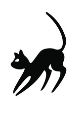 cat2 © mcn