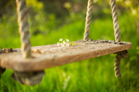 Delicate White Flowers On Rustic Swing In Sunny Garden