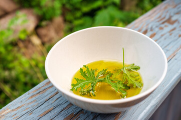 Citronella Plant Mosquito Repellant