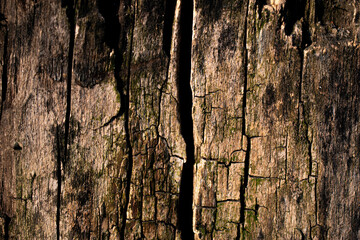 old cracked wood with dark streaks