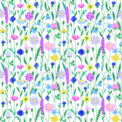 Wildflower summer seamless pattern in bright colors on white background