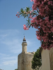 Aigues-Mortes, France