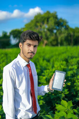 young handsome agronomist inspecting cotton field with tablet