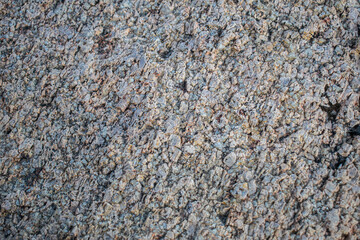 texture of stone