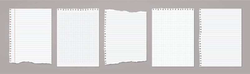 White lined and math note, notebook paper with torn edges stuck on light grey backgroud. Vector illustration - obrazy, fototapety, plakaty