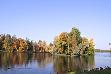 Autumn park in September in Russia, lake with red leaves and reflection, background. Beautiful autumn landscape in the park, seasons. Travel through beautiful, Russian, autumn forests.