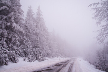 winter road in the forest, foggy winter mood, bohemian forest, germany
