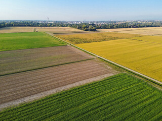 Campi coltivati a Pieve Emanuele