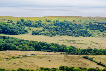 Farmlands and trees by the sea panorama, distant view of land by the ocean in United Kingdom, cloudy sea and green meadows stretching for miles, hills and cliffs by the beach