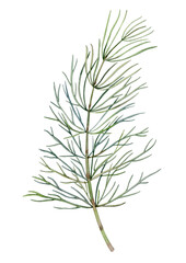 Watercolor hand drawn herbage. Can be used as print, postcard, invitation, greeting card, book or magazine illustration, stickers, label, tatoo, fabric.