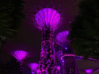 Gardens by the bay