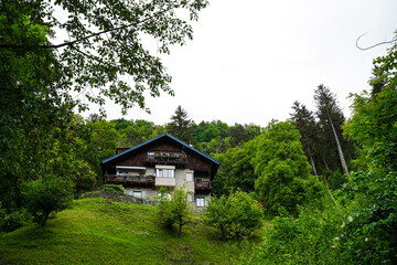 Haus im Wald