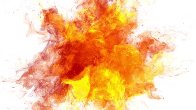 Yellow Orange Red Color Burst - colorful smoke powder explosion. Fluid ink particles slow motion alpha matte isolated on white
