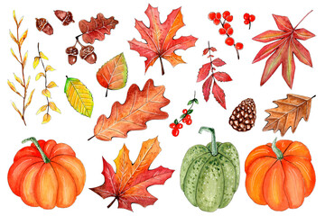 Hand Drawn watercolor Thanksgiving set, pumpkins and autumn fall elements.