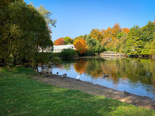 Obraz premium autumn landscape with lake