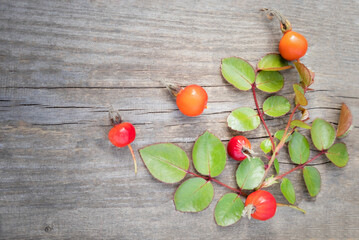 Rosehip berries with twigs on a wooden background with space for text. Poster, article, packaging.